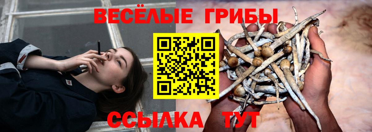Галлюциногенные грибы ЛСД Пенза